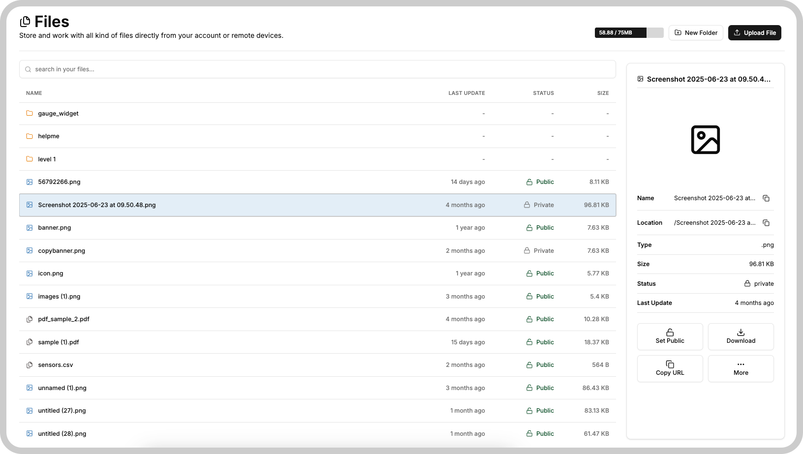 Files interface example showing file list and metadata